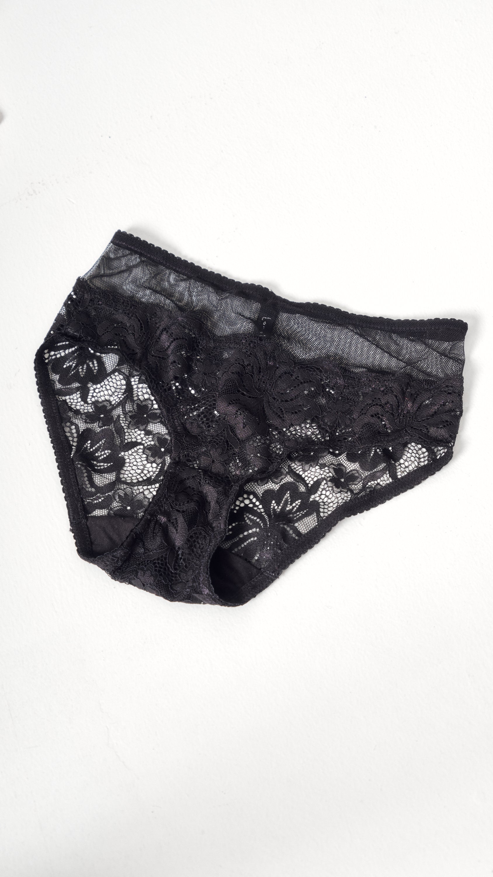 Lonely Lingerie high waisted brief