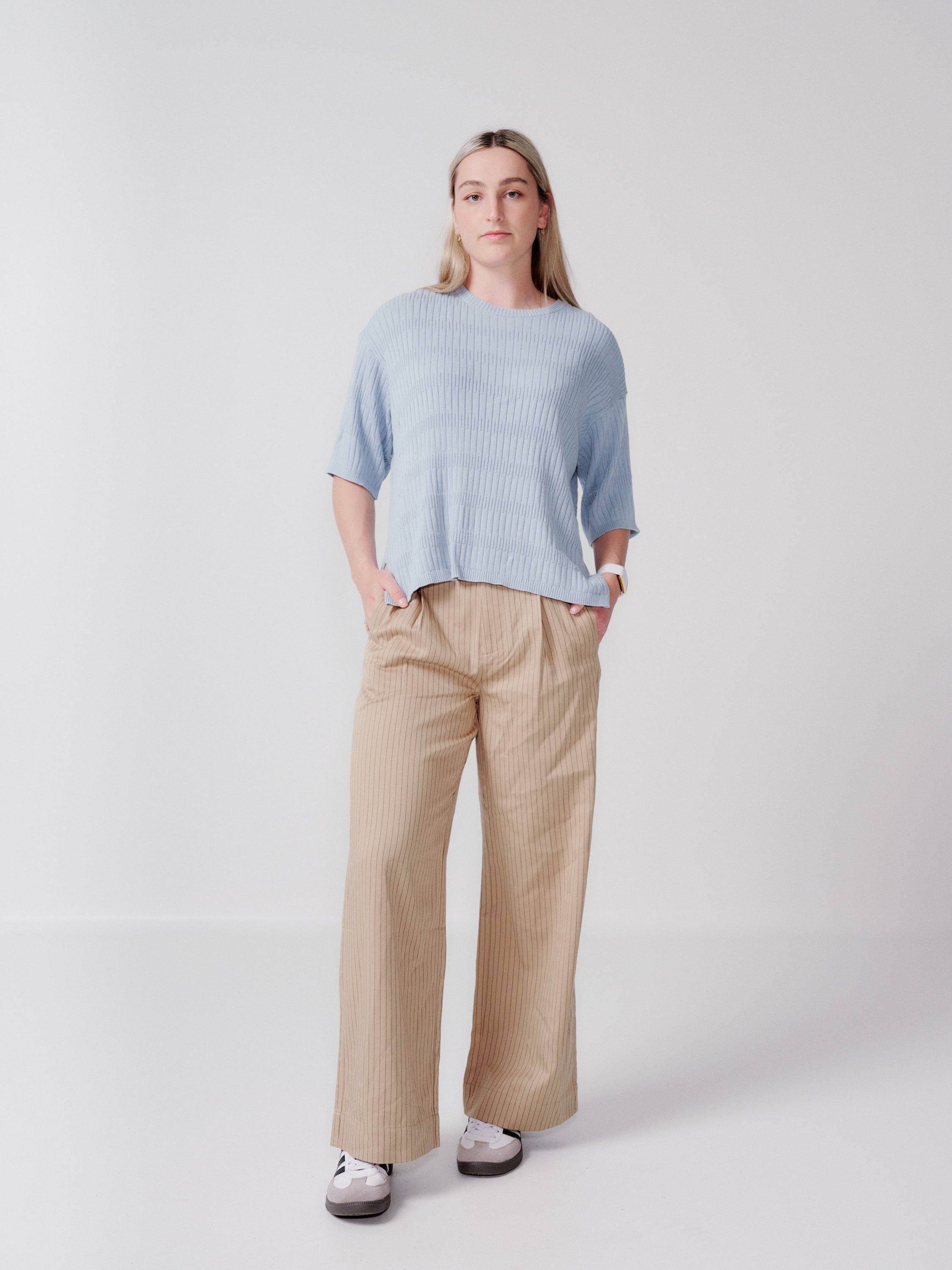 Everlane Cotton pinstripe pants