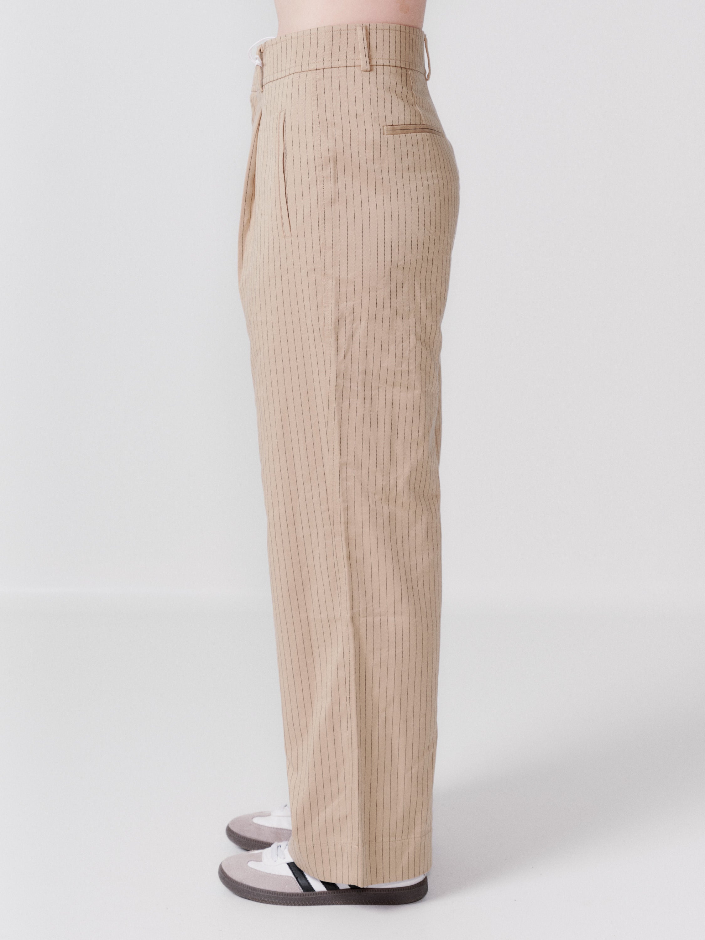 Everlane Cotton pinstripe pants