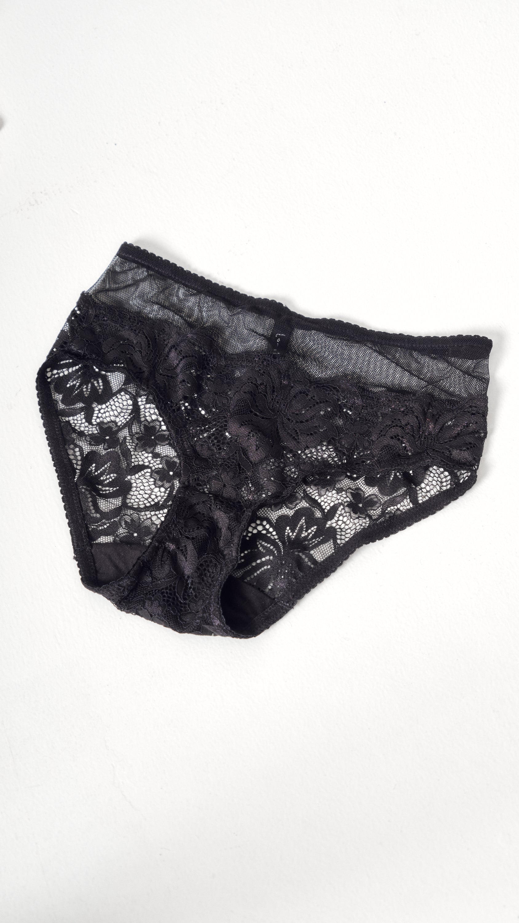 Lonely Lingerie high waisted briefs