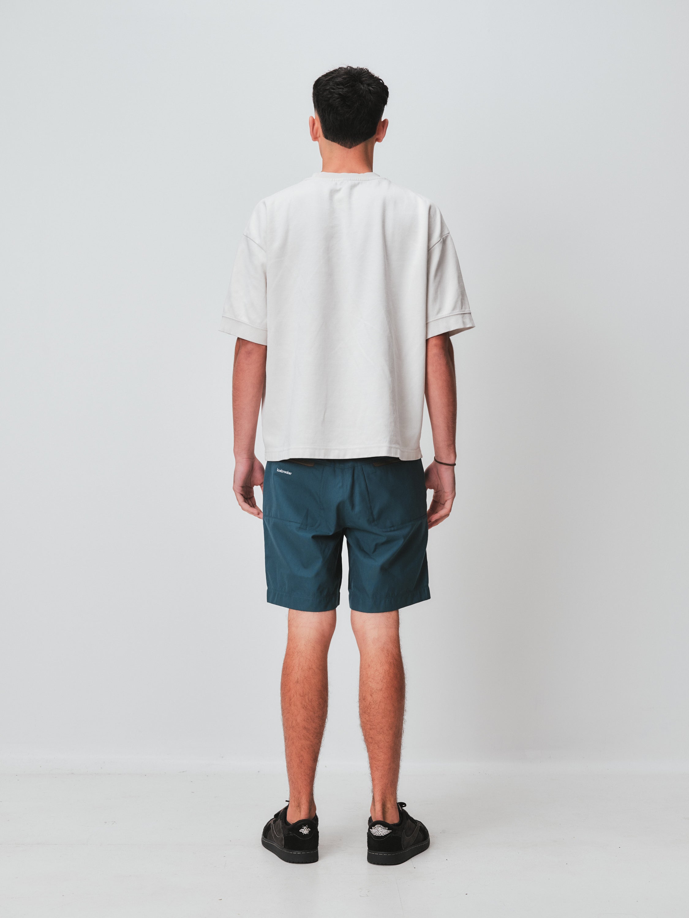 icebreaker hike shorts